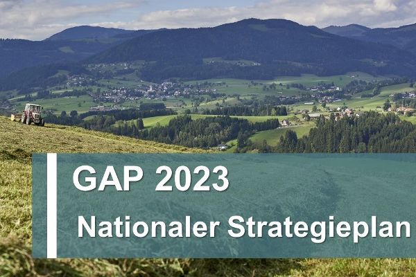 Reference text: National Strategy Plan 2023