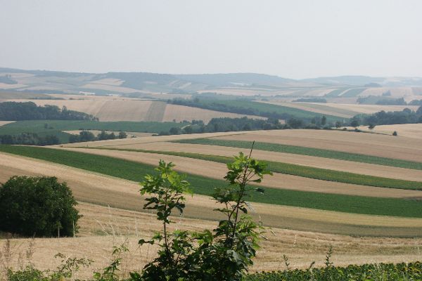 Fields around Ernstbrunn (Lower Austria)