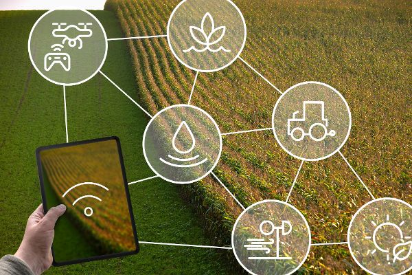 Digitalization in agriculture