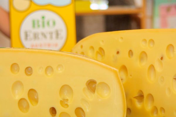 Organic cheese