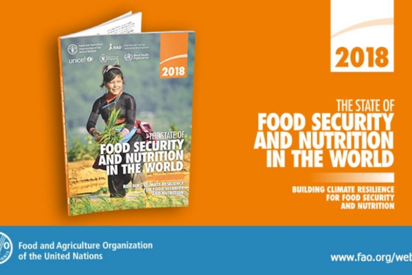 Cover Food Security and Nutrition in the World