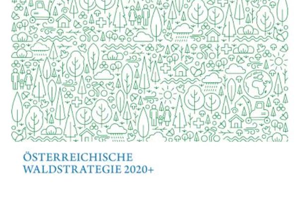 Coverbild Broschüre Österreichische Waldstrategie 2020
