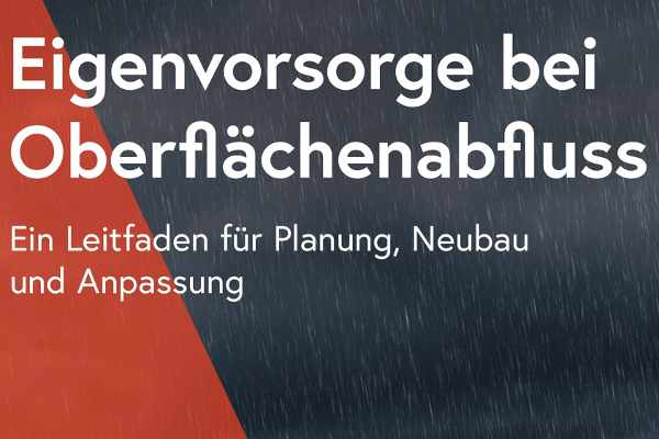 Coverbild der Publikation Eigenvorsorge bei Oberflächenabfluss - Ein Leitfaden für Planung, Neubau und Anpassung