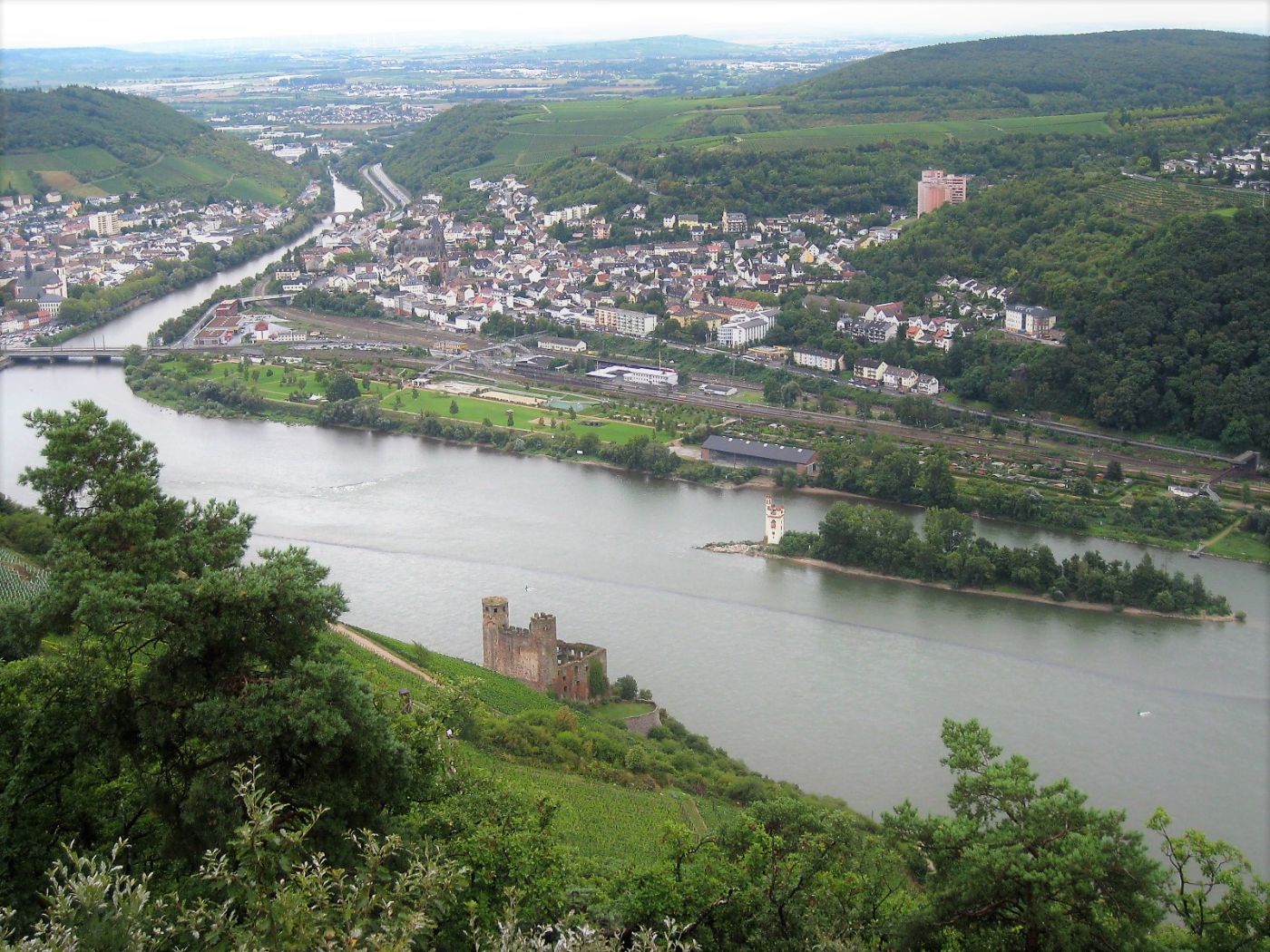 Blick auf den Rhein bei Bingen in Deutschland