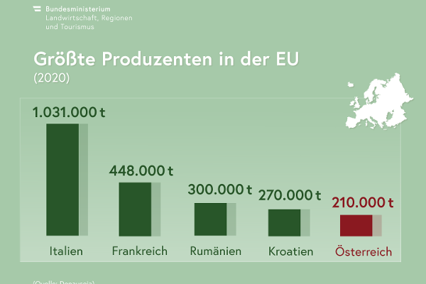 Infografik: Größte Soja-Produzenten in der EU (2020), Italien 1.031.000 Tonnen, Frankreich 448.000 Tonnen, Rumänien 300.000 Tonnen, Kroatien 270.000 Tonnen, Österreich 210.000 Tonnen. Quelle: Donausoja