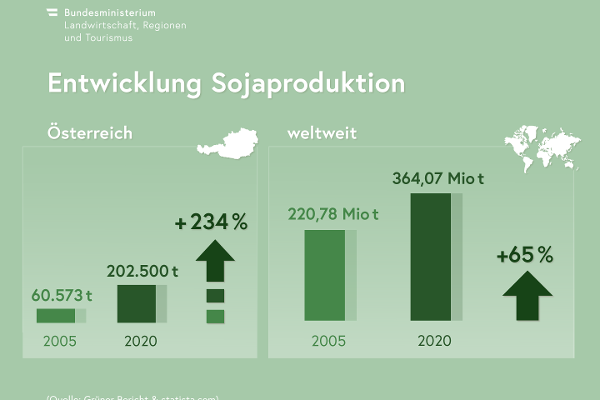 Infografik: Entwicklung der Sojaproduktion. Österreich 2005: 60.573 Tonnen, 2020: 202.500 Tonnen. Steigerung um 234 Prozent. Weltweit 2005: 220,78 Millionen Tonnen. 2020: 364,07 Millionen Tonnen. Steigerung um 65 Prozent. Quelle: Grüner Bericht & statista.com