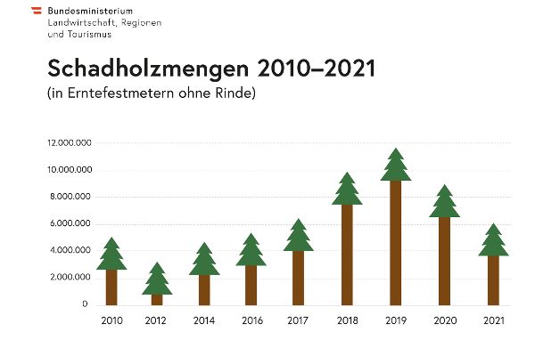 Schadholzmengen 2010 - 2021