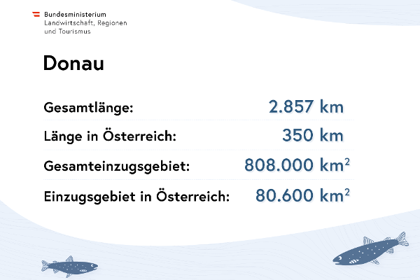 Donau: Gesamtlänge 2.857 Kilometer, Länge in Österreich 350 Kilometer, Gesamteinzugsgebiet 808.000 Quadratkilometer, Einzugsgebiet in Österreich 80.600 Quadratkilometer