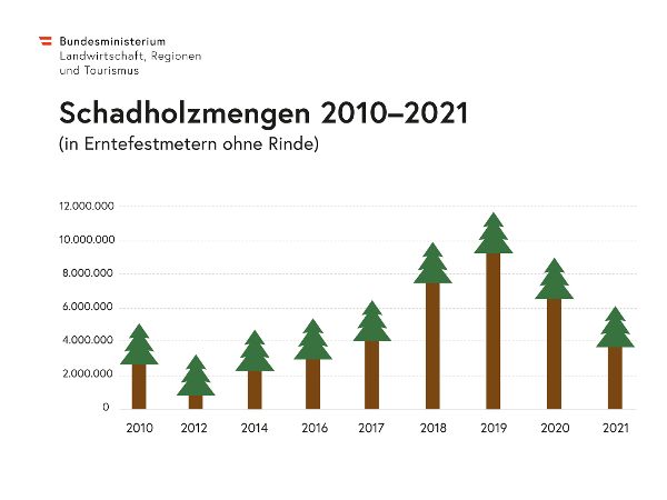 Schadholzmengen 2010 - 2021