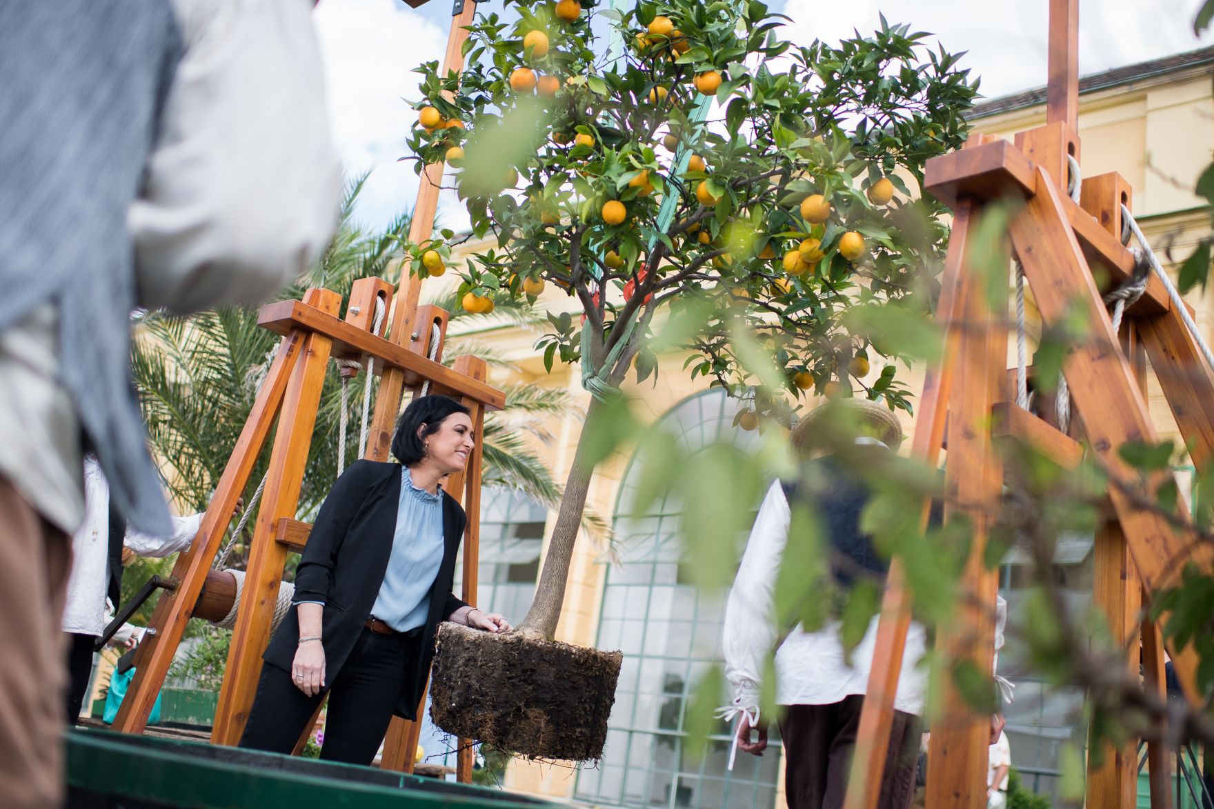 Am 28.05.2021 nahm Bundesministerin Elisabeth K&ouml;stinger an der traditionellen Ausfahrt der K&uuml;belpflanzen aus der Orangerie bei Sch&ouml;nbrunn teil.