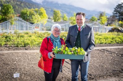 Garteln mitten in Innsbruck: Bundesminister Norbert Totschnig stattete den Gewinnerinnen und Gewinnern des Urban Gardening-Gewinnspiels beim Innsbrucker Hofgarten einen Besuch ab.