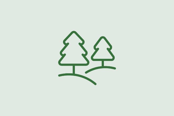 ICON forests
