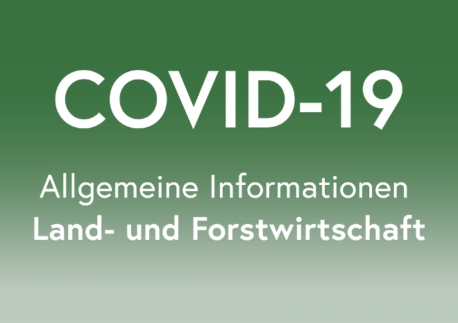 Grünes Icon mit Schrift COVID 19 - Allgemeine Informationen Land- und Forstwirtschaft