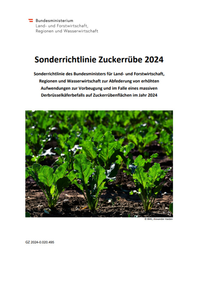 Sonderrichtlinie Zuckerrübe 2024